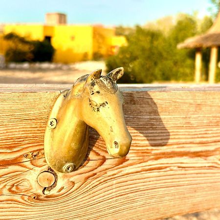 Eco-Ranch Salome Apartman Sidi Kaouki Kültér fotó